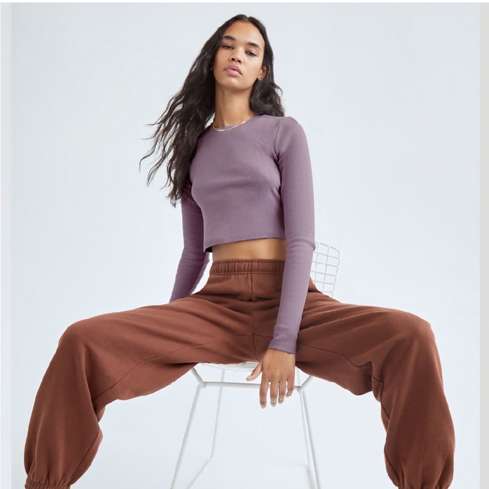 TNA Cropped Ribbed Long Sleeve brown Aritzia Small